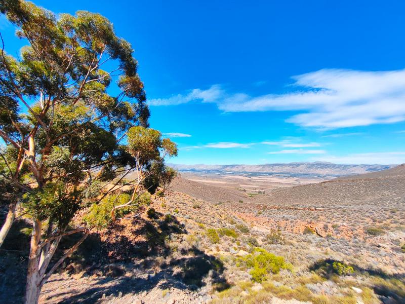 0 Bedroom Property for Sale in Montagu Rural Western Cape